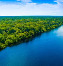 Abraji e TI-Brasil abrem inscrições de bolsas para jornalistas da Amazônia Legal participarem do 21º Congresso em SP