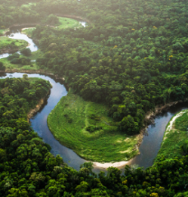 Acordo de Escazú é aprovado na Câmara e segue para o Senado
