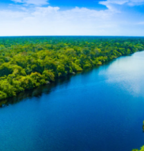 Últimos dias para jornalistas da Amazônia Legal se inscreverem nas bolsas  para o 21º Congresso da Abraji 