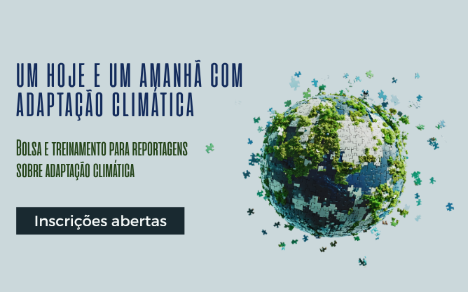 Abraji e Talanoa anunciam bolsas de reportagem e treinamento para jornalistas sobre adaptação climática 
