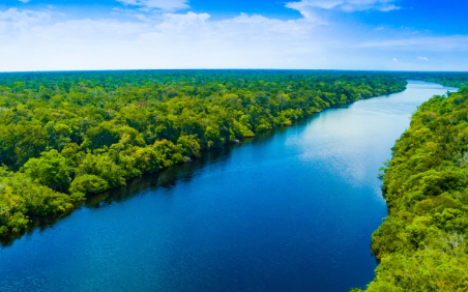 Abraji e TI-Brasil abrem inscrições de bolsas para jornalistas da Amazônia Legal participarem do 21º Congresso em SP