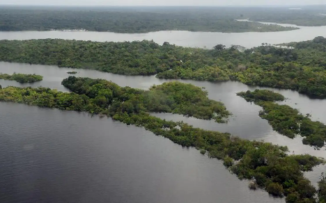 Inscrições prorrogadas: bolsas de até R$ 15 mil para reportagens sobre a Amazônia