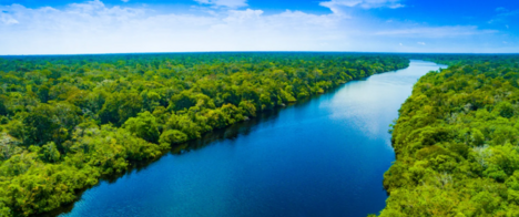 Abraji e TI-Brasil abrem inscrições de bolsas para  jornalistas da Amazônia Legal participarem do 21º Congresso em SP