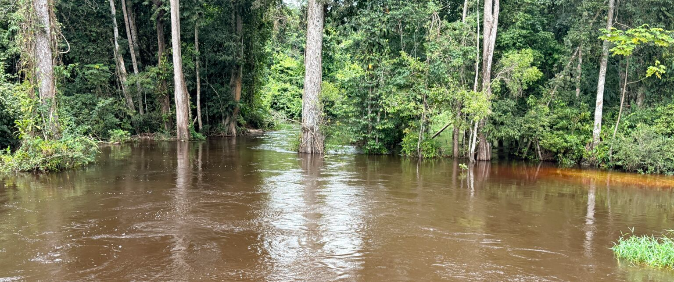 Série "Marcados para Morrer" revela padrão de ameaças contra lideranças indígenas em Rondônia