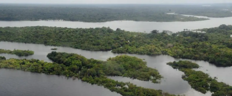 Abraji divulga nome de mentores e de jornalistas selecionados para apoio financeiro em reportagens ambientais