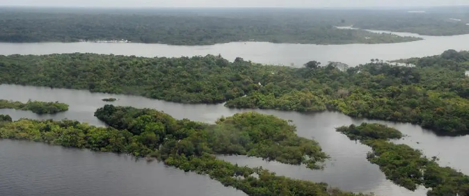 Inscrições prorrogadas: bolsas de até R$ 15 mil para reportagens sobre a Amazônia