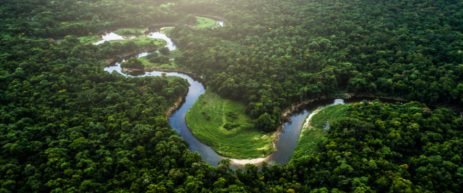 Acordo de Escazú é aprovado na Câmara e segue para o Senado
