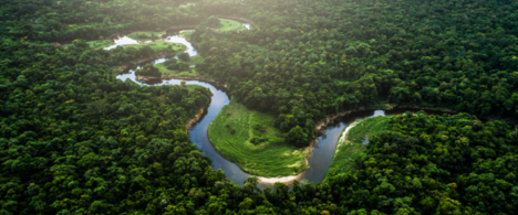 Acordo de Escazú é aprovado na Câmara e segue para o Senado