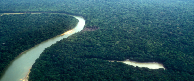 Governo abre consulta pública sobre sustentabilidade do jornalismo ambiental e cobertura da Amazônia