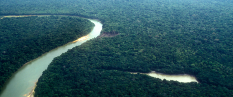 Governo abre consulta pública sobre sustentabilidade do jornalismo ambiental e cobertura da Amazônia