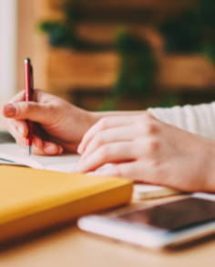 Edital (regulamento) — “O Brasil pós-COP30: caminhos para a neutralidade de emissões”