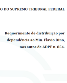 AÇÃO DIRETA DE INCONSTITUCIONALIDADE COM TÉCNICA DE INTERPRETAÇÃO CONFORME