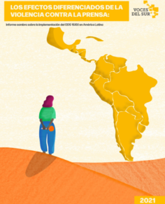 Relatório Sombra 2021 (espanhol)